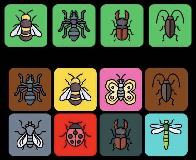 FLIES Daily Combo 27 March 2025